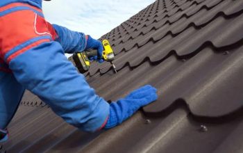 Find the Best Roof Repairs Near Me Fast and Professional Service