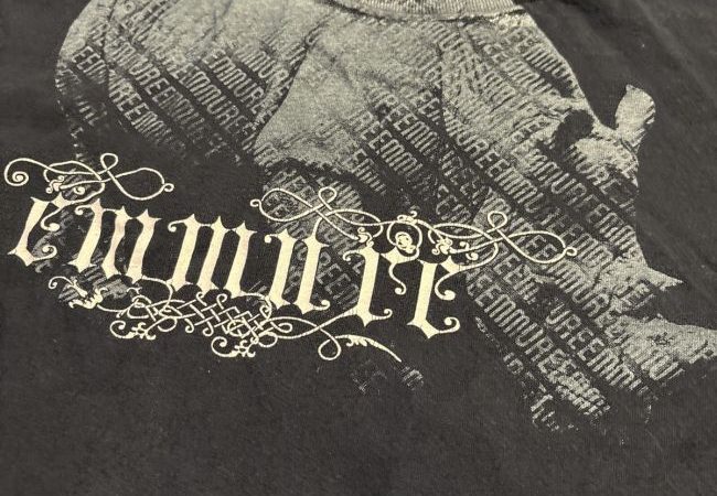 Unlocking Emmure's Store: Exclusive Merchandise and Limited Edition Finds